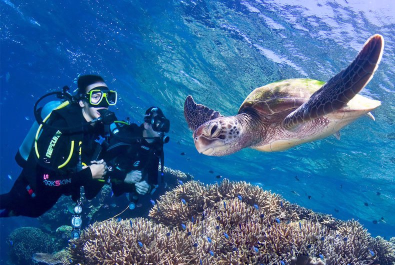 Best Diving Sites in Safaga and Soma Bay